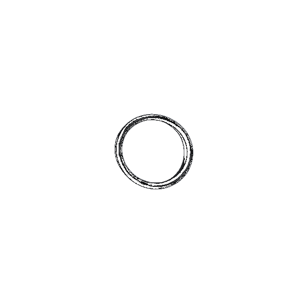 O-Ring f/Calcium Pumpe #15090-015-2